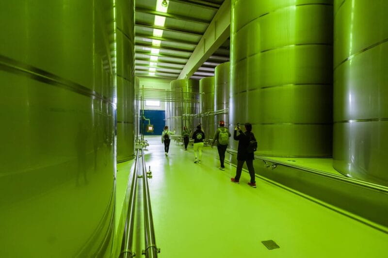 Jaén: Unforgettable visit to the olive mill + EVOO tasting - Jaén: Unforgettable visit to the olive mill + EVOO tasting