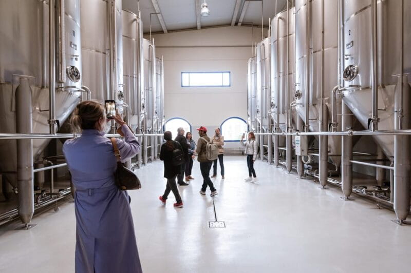 Jaén: Unforgettable visit to the olive mill + EVOO tasting - Entering the World of Olive Oil: A Guided Tour at Picualia