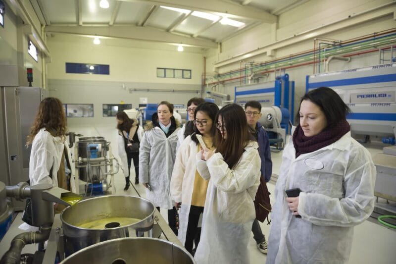 Jaén: Unforgettable visit to the olive mill + EVOO tasting - Who Will Love This Tour?