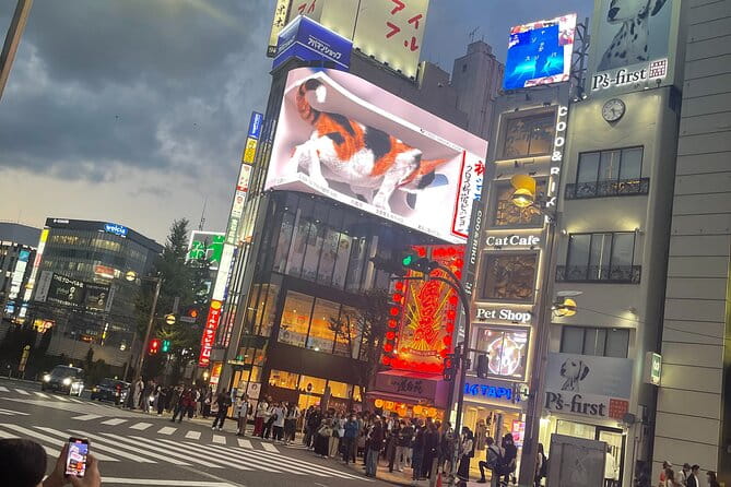 Japan 5 Days Private Tours All Included at Tokyo Osaka Kyoto Nara - Uncover the Charm of Nara