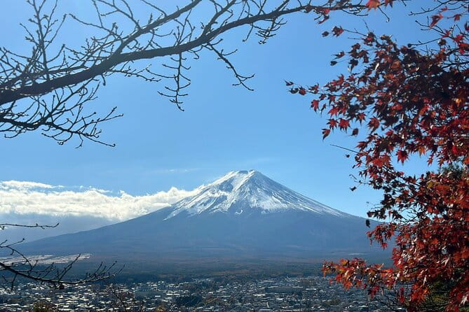 Japan 5 Days Private Tours All Included at Tokyo Osaka Kyoto Nara - Flexible Pickup Options