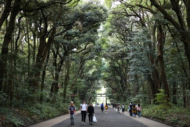 Japan Discovery Tour (12 Days) - Itinerary and Activities