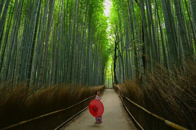 Japan Discovery Tour (12 Days) - Transportation Details