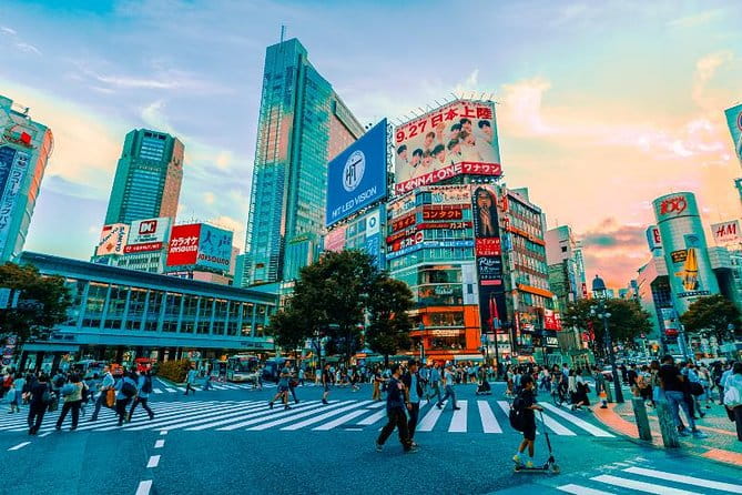 Japan Discovery Tour (12 Days) - Highlights of the Tour