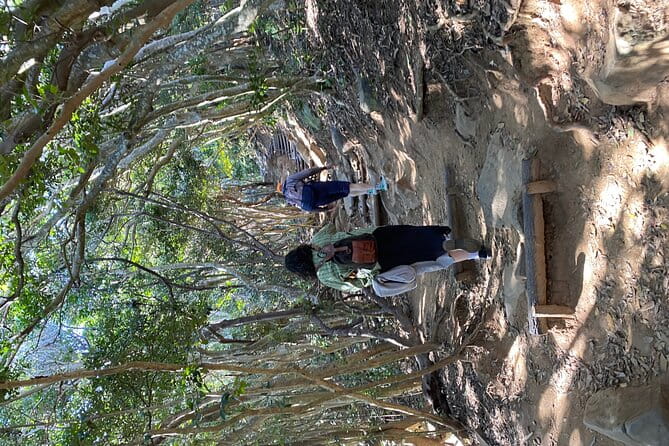 Japan Drive - Reviews and Feedback From Participants