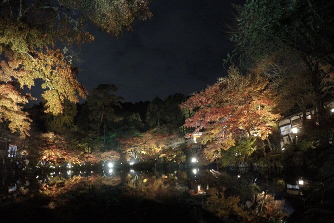 Japan Kyoto Online Tours Virtual Experience - Inclusions and Accessibility