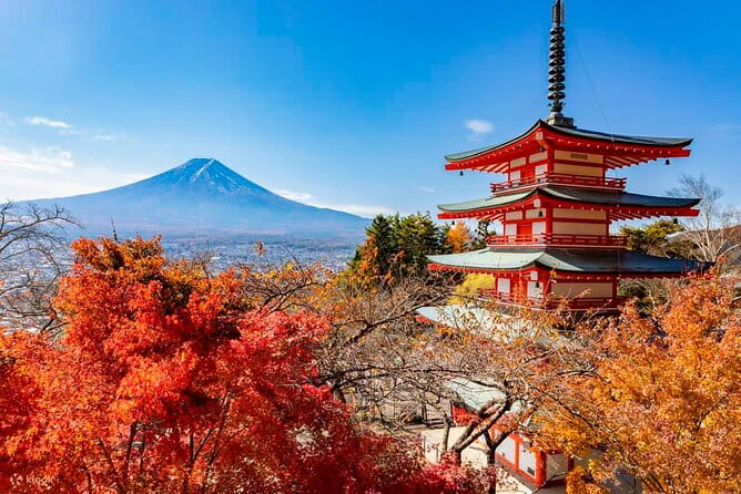 Japan Mount Fuji Tour - Traveler Reviews and Experiences