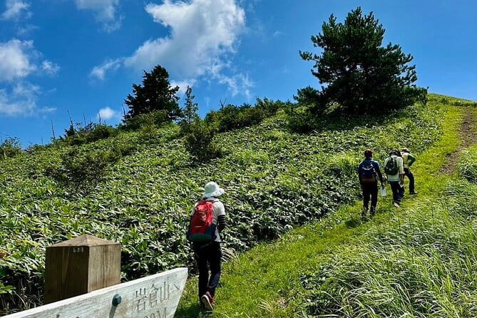 [Japan Wellness] Hiking and Matcha With a Monk in Hiroshima - The Hiking Adventure