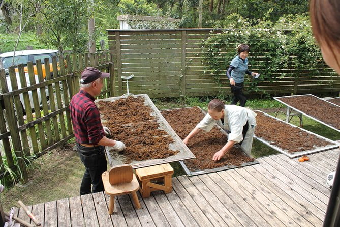Japanese Food Cooking at Home - Memorable Cultural Immersion