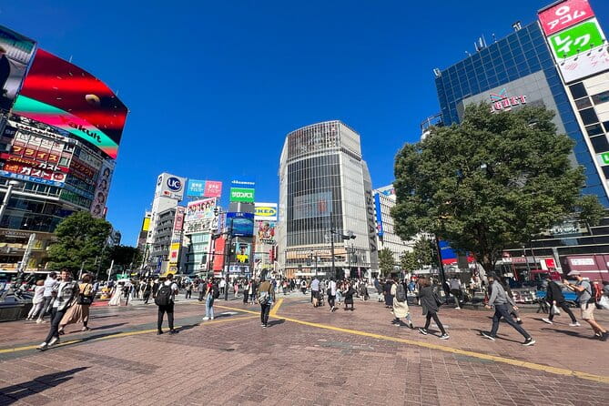 Japanese Food History and Art Tour With Licensed Guide - Guided Tour Experience