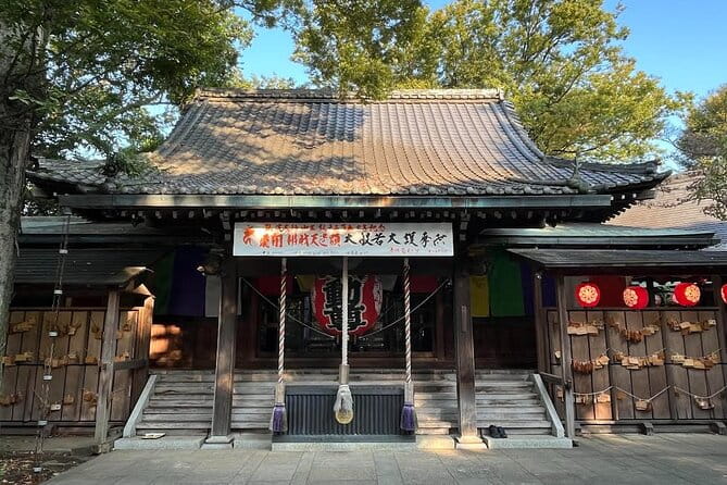 Japanese Home Cooking Class in Tokyo With a Local Expert - Meet Your Host, Tomoko