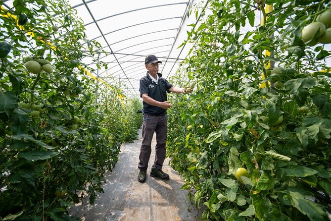 Japanese Local Life Experience - The Sum Up