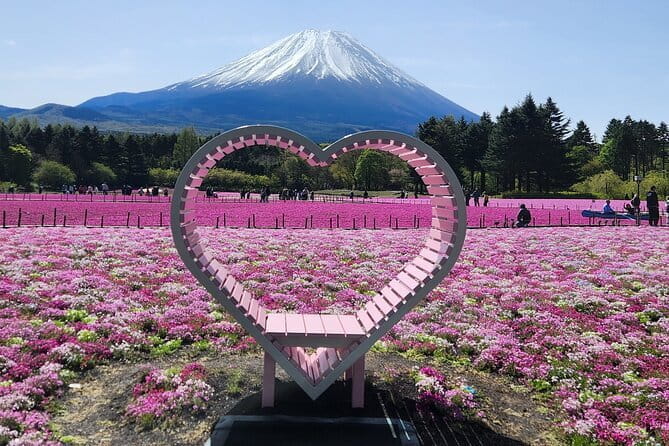 Japanese Local Sightseeing Tours - The Sum Up