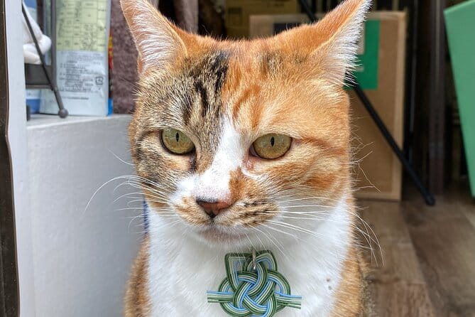 Japanese Paper Notebook and Mizuhiki Belt and Bookmark Workshop - Japanese Paper Notebook Crafting