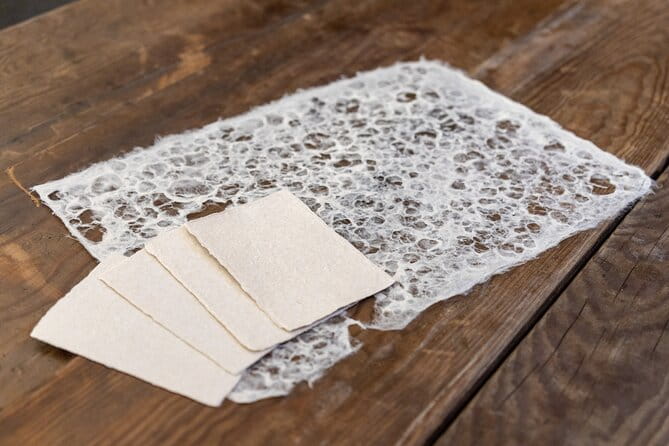 Japanese Paper Washi Making Experience in Asakusa - Instruction by a Washi Master