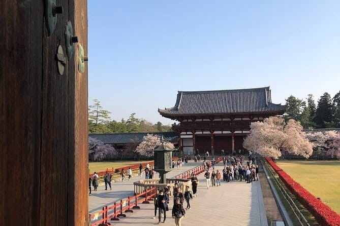 Japanese Tea Ceremony & Japanese-Style Lunch Served by Airline - Customer Feedback