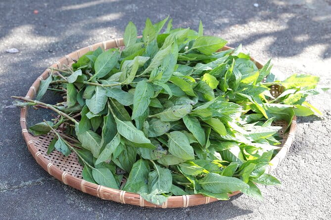 Japanese Traditional Dyeing in Toyama - Transportation Details