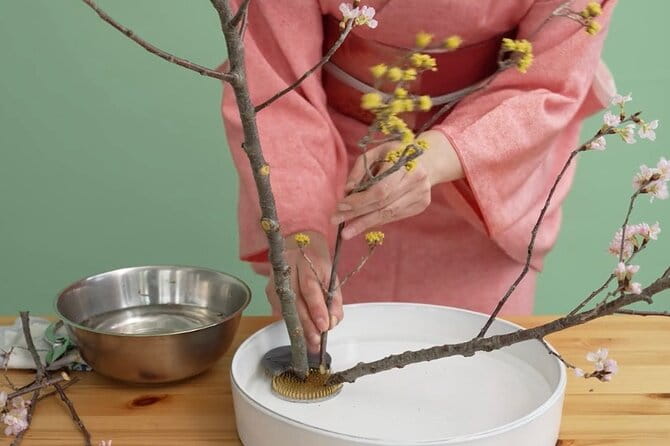 Japans Customs of Ikebana Art, Tea Ceremony & Kimono Welcome - Cancellation Policy and Group Exclusivity