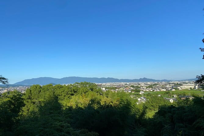 Japans Oldest Shrine & Nagashi Somen Walking Tour From Nara - Inclusions and Customization