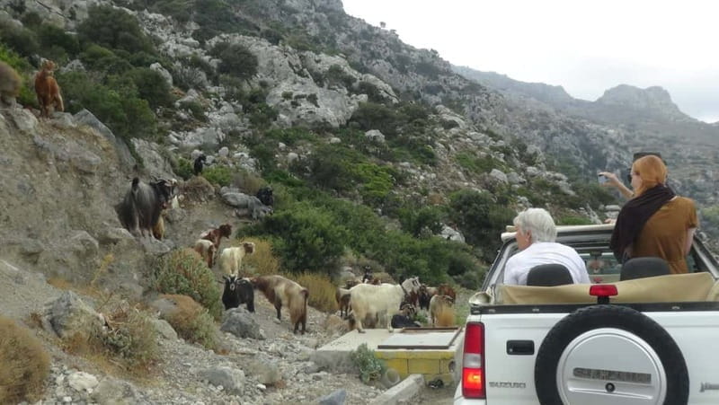 Jeep Driving Tour to Thripti Mountains and typical villages - Entering Crete’s Untamed Beauty: The Itinerary in Detail