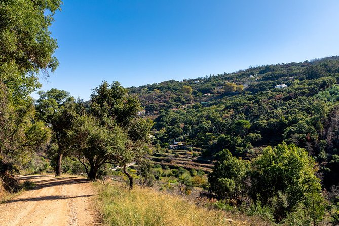 Jeep Safari #1 in Algarve - Booking and Cancellation Policy