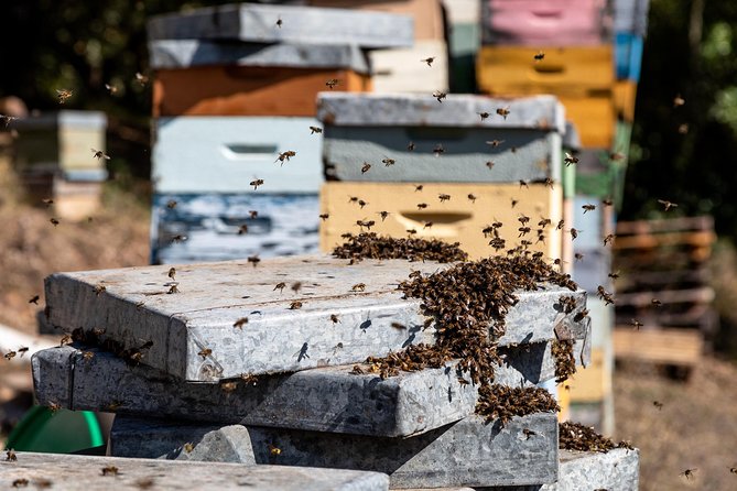 Jeep Safari #1 in Algarve - Exploring the Countryside