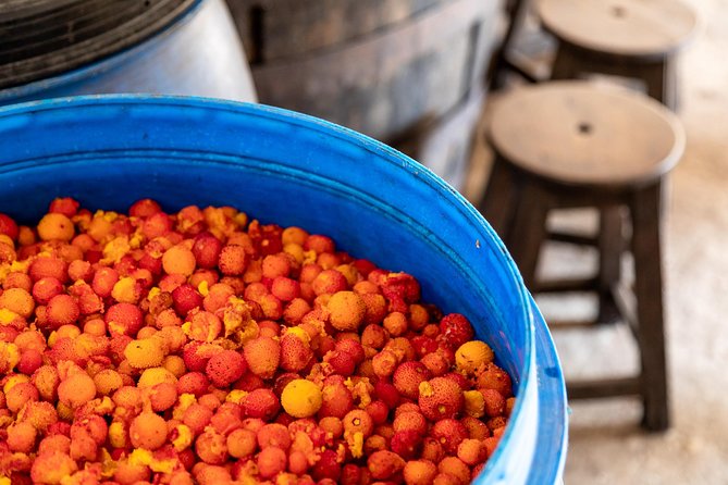 Jeep Safari #1 in Algarve - Visiting a Distillery