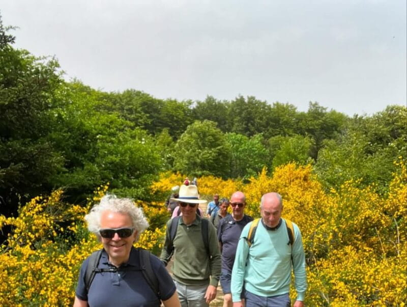 Jeep safari in the Aspromonte National Park - FAQ