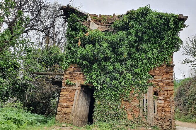 Jeep Safari Tour to the Taurus Mountains From Antalya & Side - FAQ