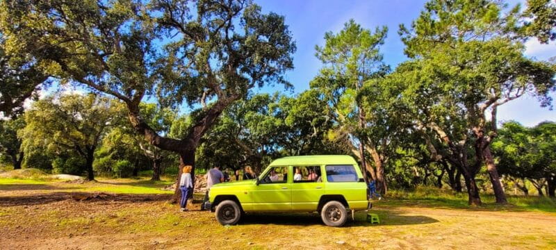 Jeep Safari with Winery Visit & Wine Tasting included - The Wine Tasting & Food Pairing