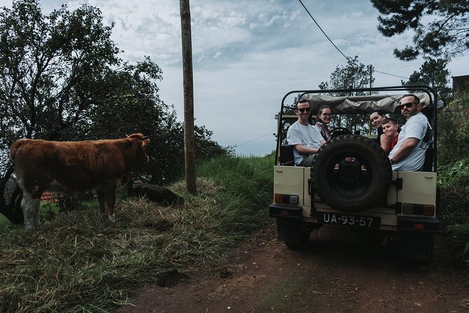 Jeep Tour to Northwest (Ponta De Sol, Porto Moniz, Seixal) - Inclusions and Reviews