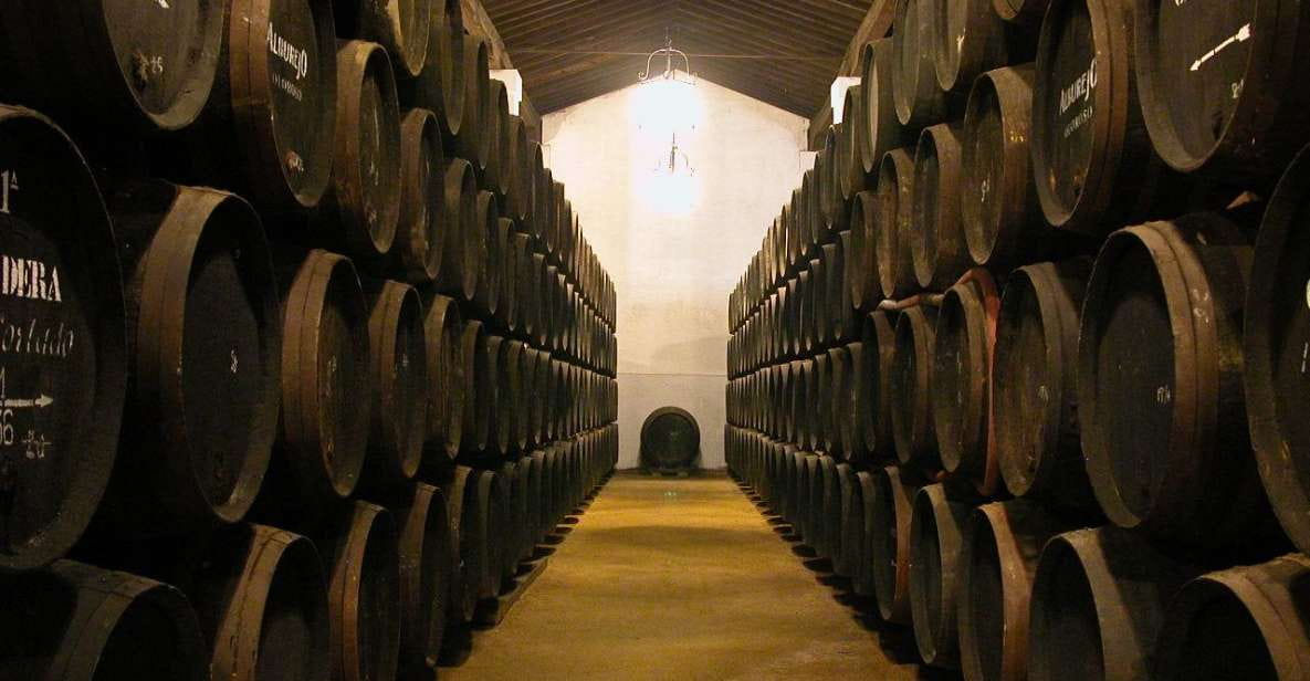 Jerez: Alvaro Domecq Wineries Guided Tour With Wine Tasting - Key Points