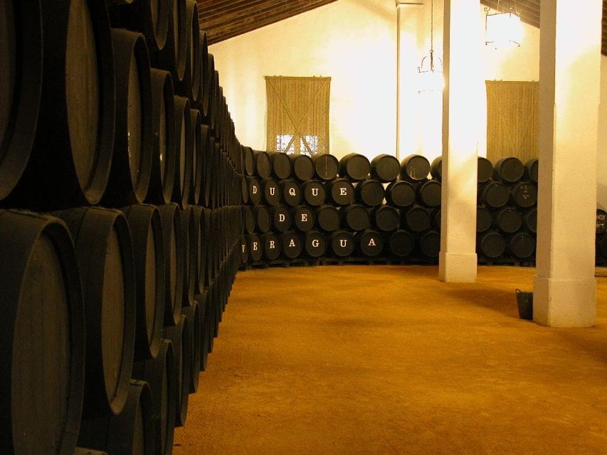 Jerez: Alvaro Domecq Wineries Guided Tour With Wine Tasting - Customer Reviews and Ratings