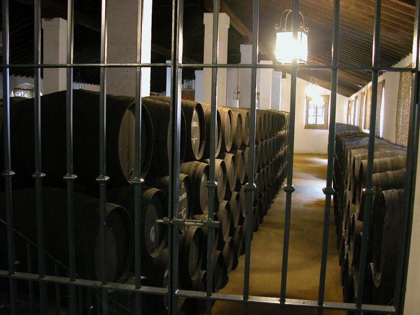 Jerez: Alvaro Domecq Wineries Guided Tour With Wine Tasting - Tips for Visiting Jerez