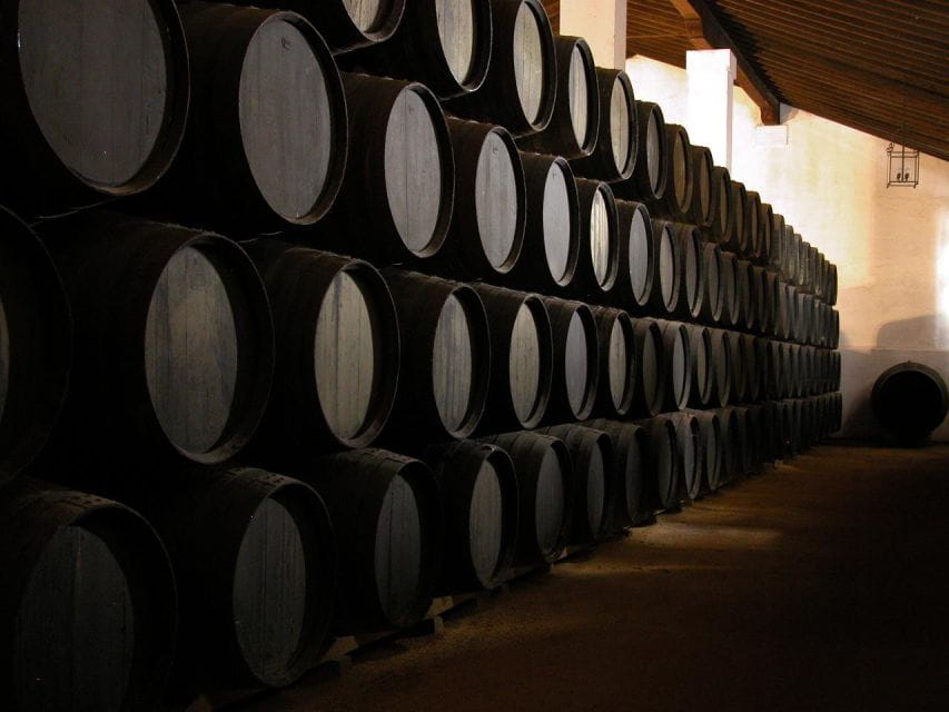 Jerez: Alvaro Domecq Wineries Guided Tour With Wine Tasting - Things To Know