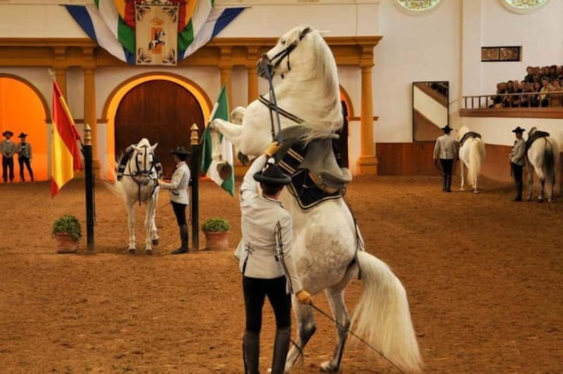 Jerez, Bodega Tío Pepe y Real Escuela de Arte Ecuestre - Unpacking the Experience: What It’s All About