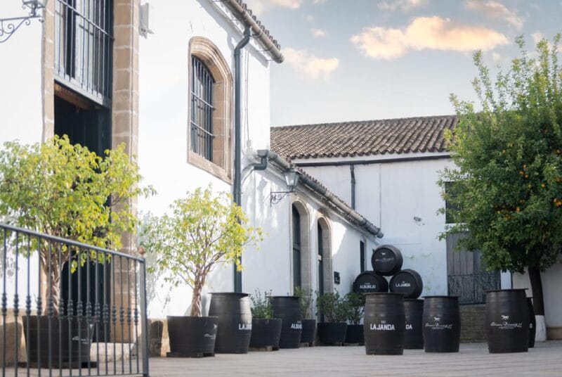 Jerez: Bodegas Álvaro Domecq Guided Tour with Wine Tasting - Key points / Takeaways