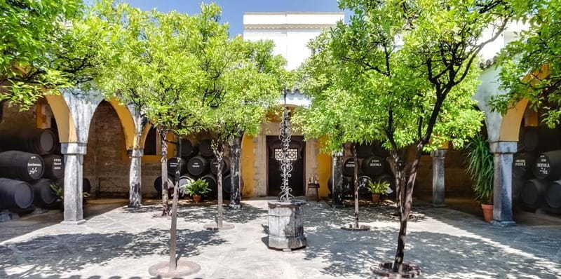 Jerez City Guided Tour and Winery Visit - Who Will Love This Tour?