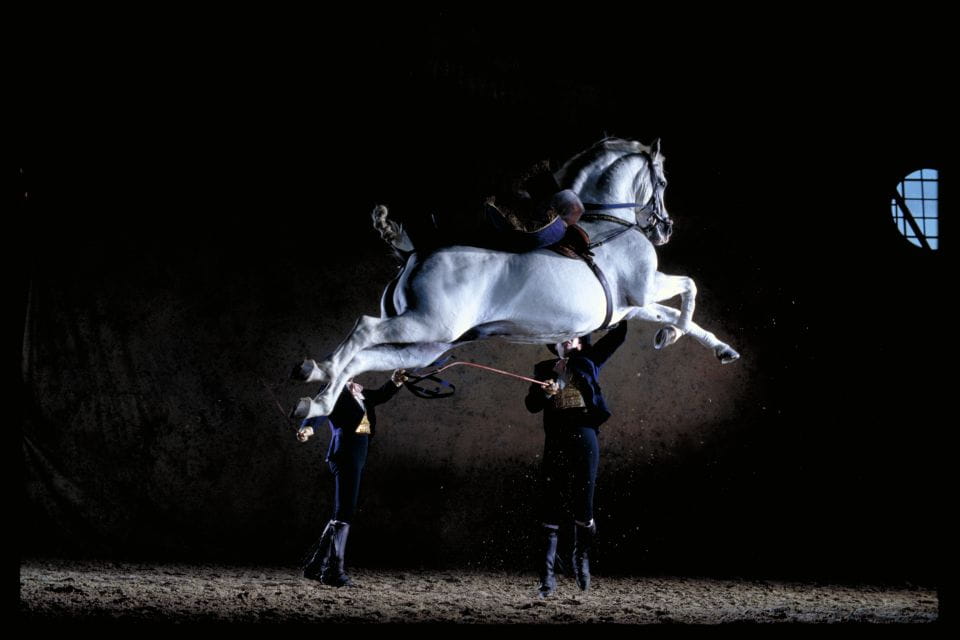 Jerez De La Frontera: Andalusian Horse Dance and Museums - Highlights of the Show