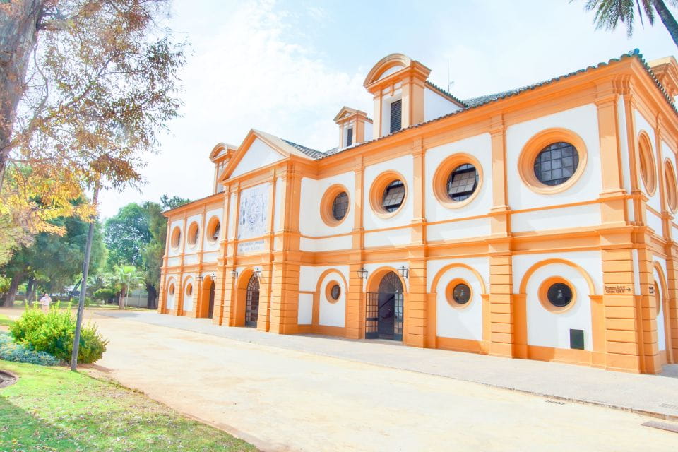 Jerez De La Frontera: How the Andalusian Horses Dance - Special Events