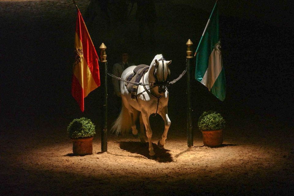 Jerez De La Frontera: How the Andalusian Horses Dance - What to Expect