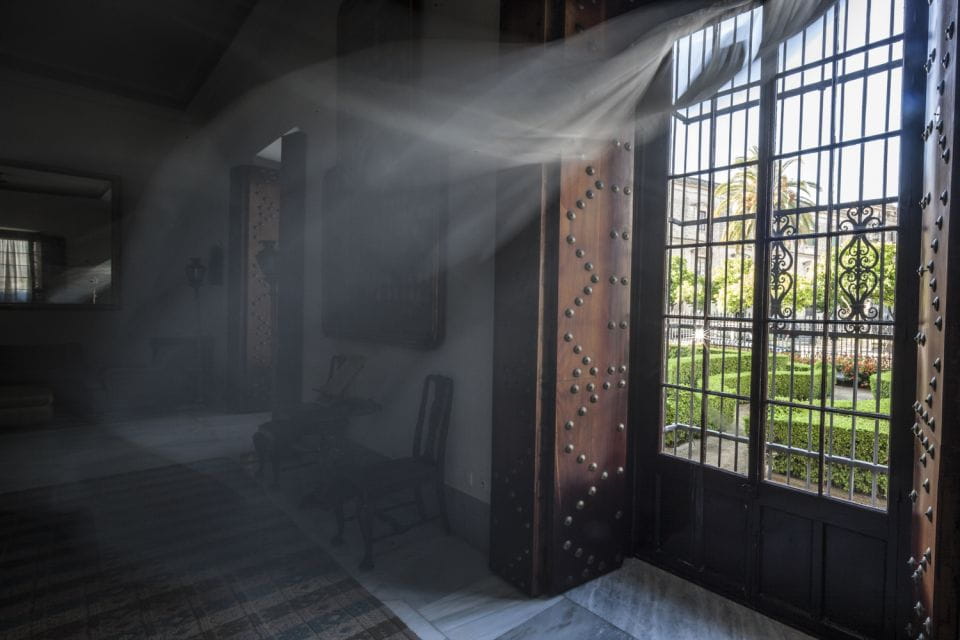 Jerez De La Frontera: Palacio Domecq Entrance Ticket - Highlights of the Experience