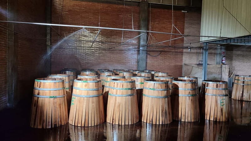 JEREZ DE LA FRONTERA: PREMIUM GUIDED TOUR TO THE COOPERAGE - Walking Through the Corrugated Path of the Cooperage