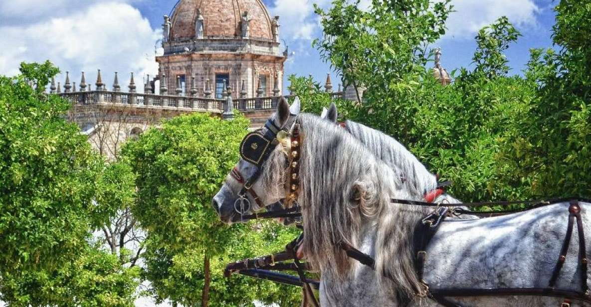 Jerez: Historic Center Guided Tour - Key Attractions