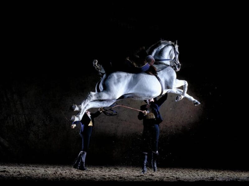 Jerez: Historic center of Jerez and horse show - An In-Depth Look at the Experience