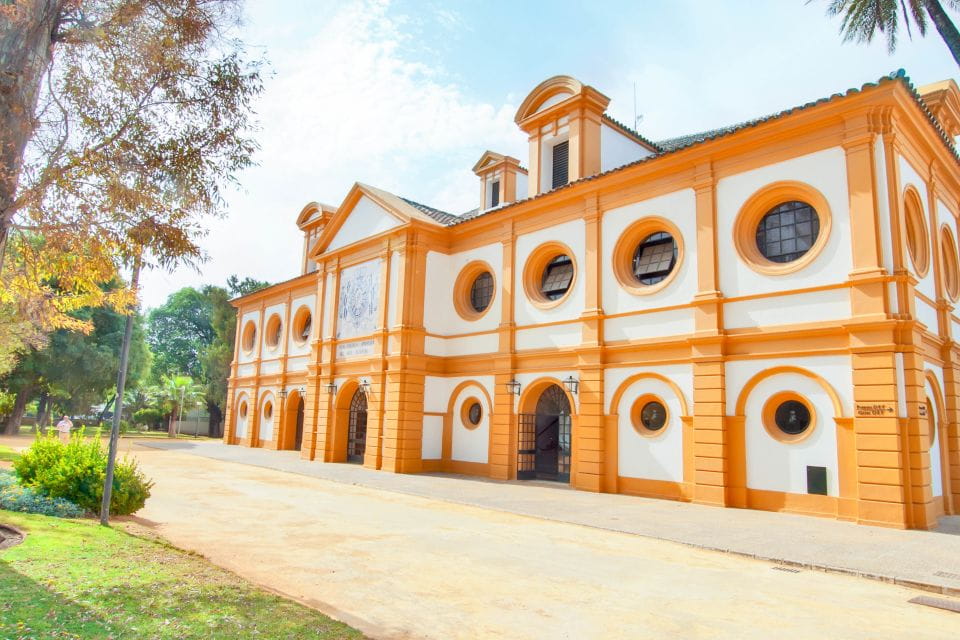 Jerez: Royal Andalusian School of Equestrian Art Admission - Guided Tour Highlights