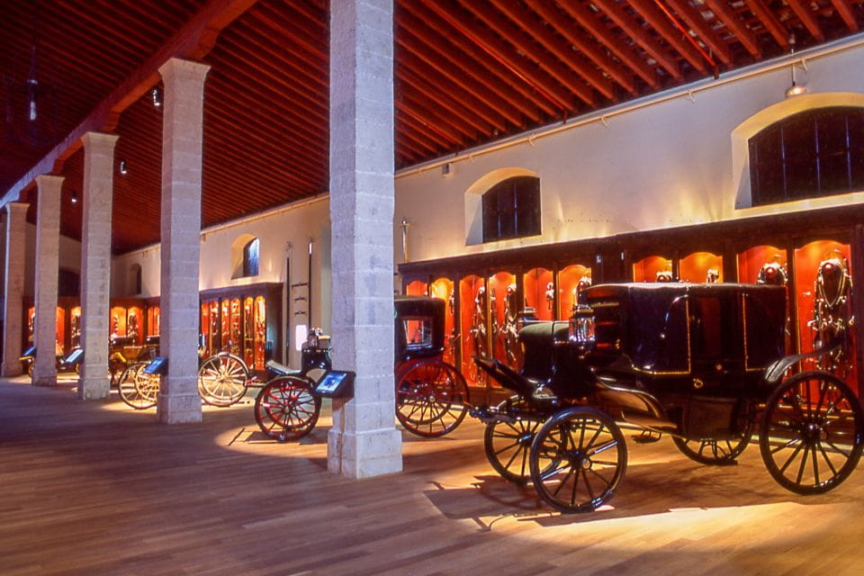 Jerez: Royal Andalusian School of Equestrian Art Admission - Visitor Information Requirements