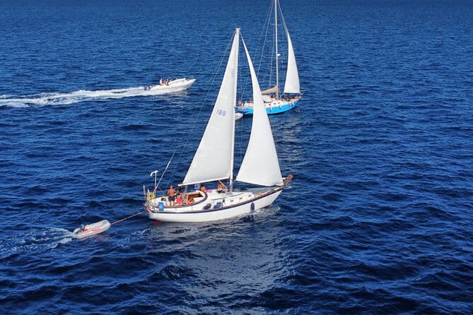 Join Cortomaltesevela to Sail La Maddalena Archipelago From Palau - Traveler Reviews