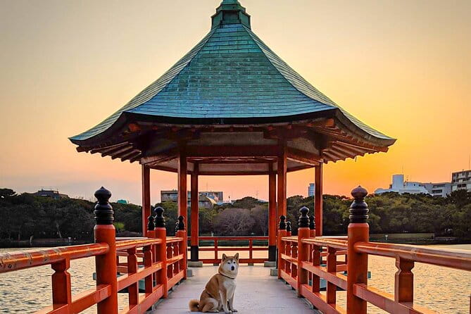 Join Fukuoka Adventure Friendly Tour With a Local Guide - Expectations