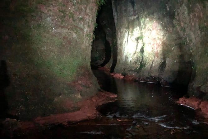 Join the Dark Side of Magical Nature - Price, Logistics, and Booking